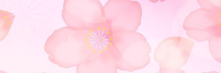 amaldibo's profile banner image