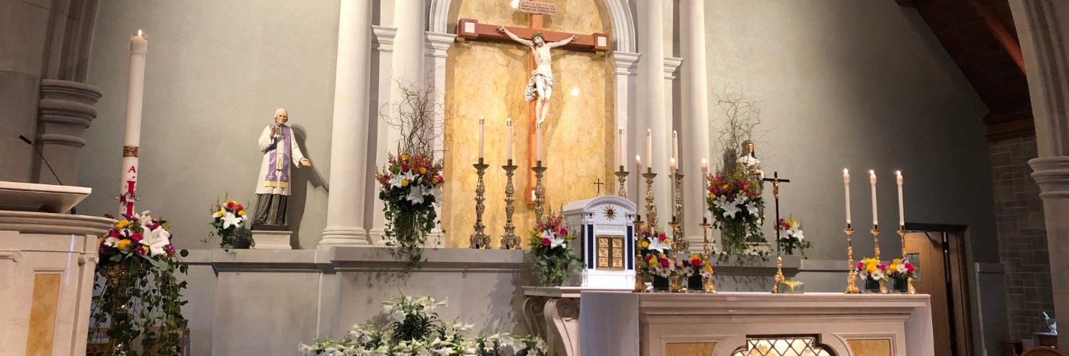 StCathTrumbull's profile banner image