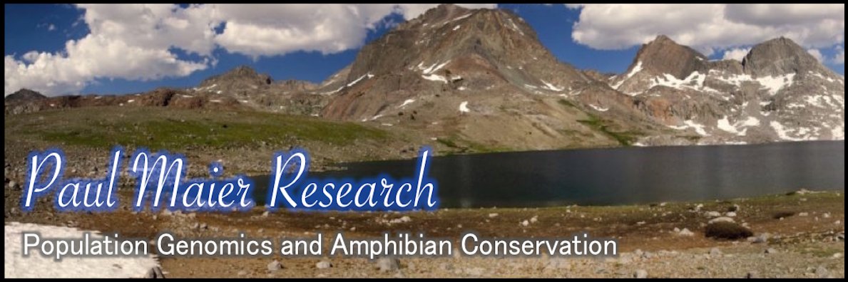 _Mountain_Man's profile banner image