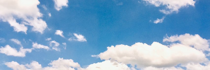 yennhinguyen29's profile banner image