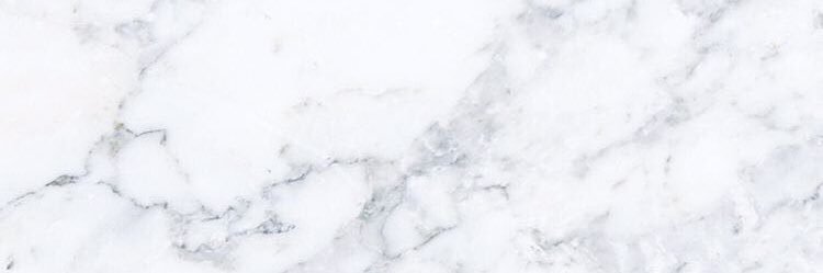 TheTideNL's profile banner image