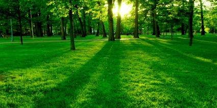 khaled_elshrief's profile banner image