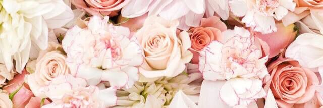 mvpmakeup's profile banner image