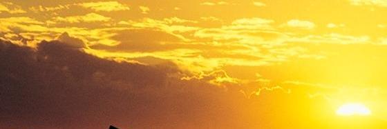 somjitbhatta's profile banner image