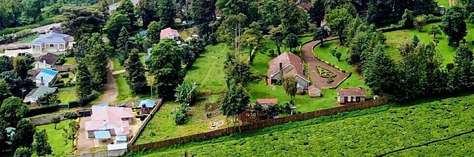 muishadrack's profile banner image