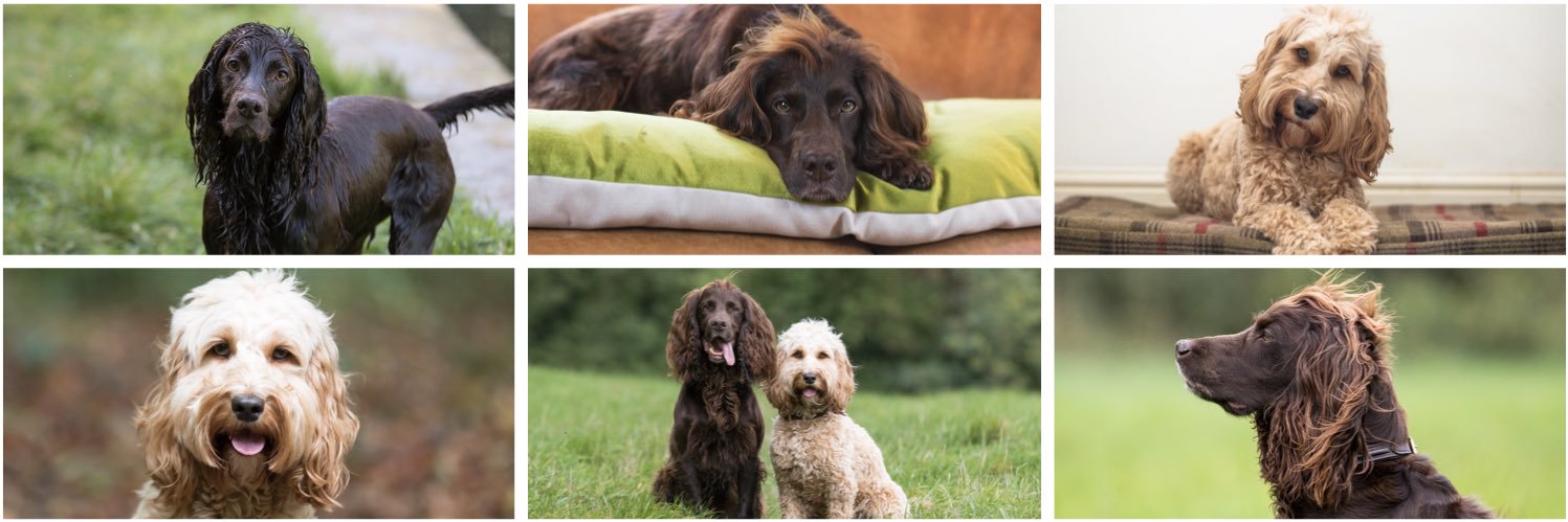 Woody & Wilma banner