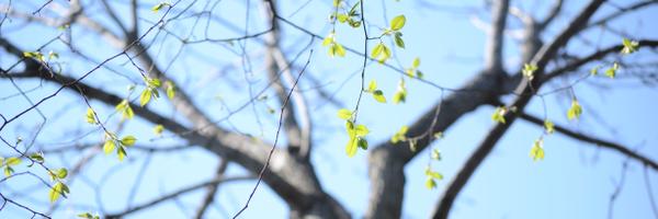 KPSMKK Profile Banner