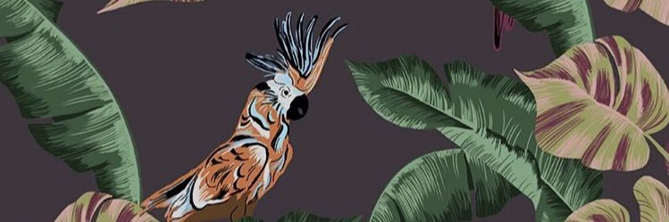 runga923's profile banner image