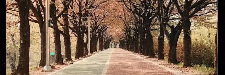 Nikka 🍓🍒 banner