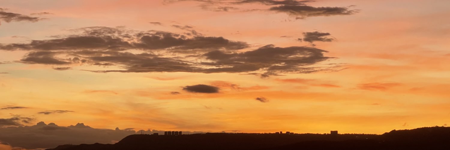 _dszchantel's profile banner image