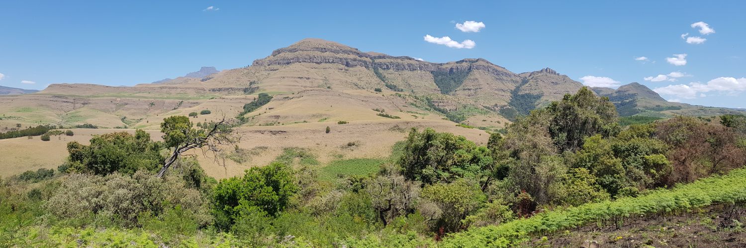 Elnerine Greeff banner