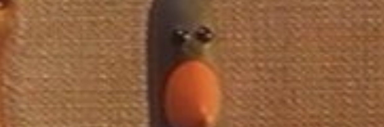 wardconnor98's profile banner image