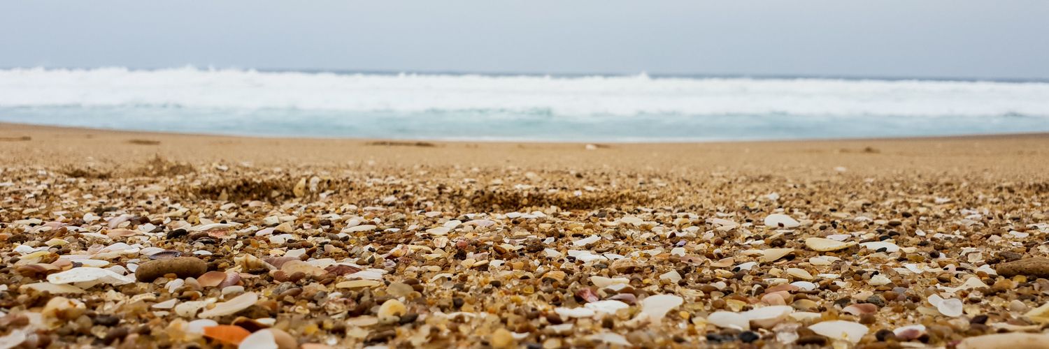 MareliLuus's profile banner image