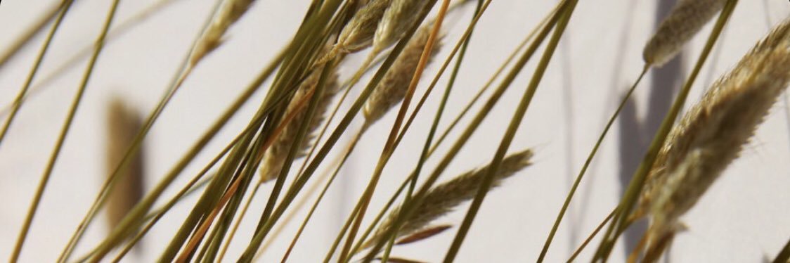 benjaminnsmall's profile banner image