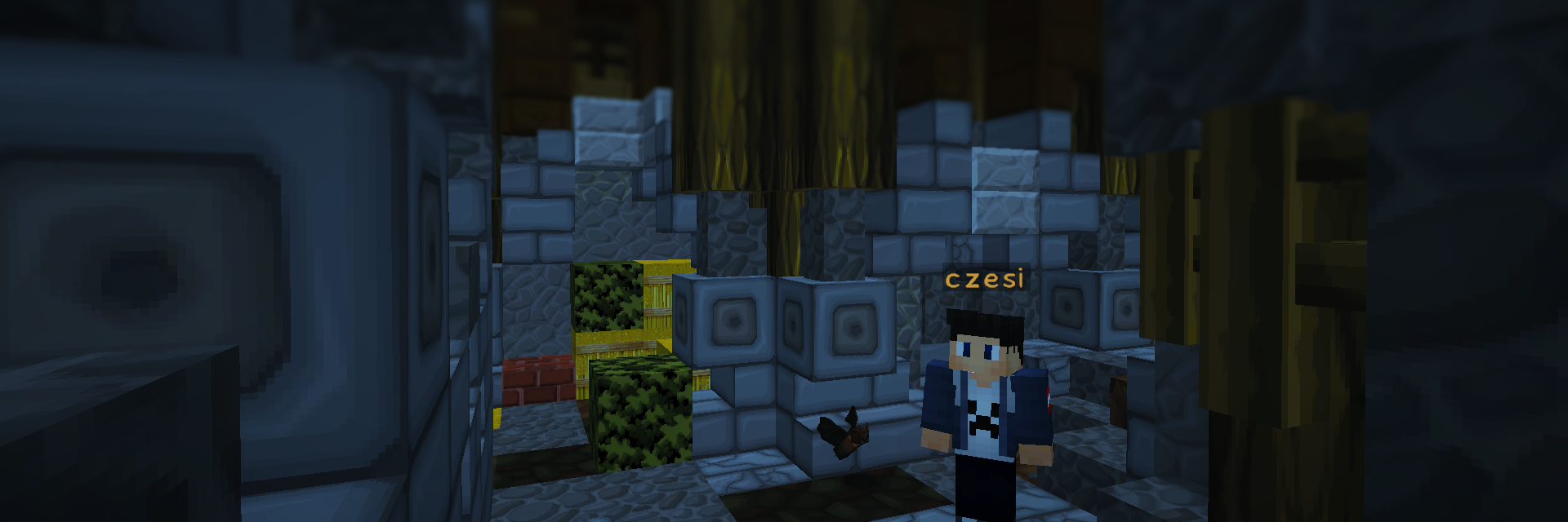 czesi3's profile banner image