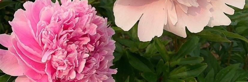 geniustime1's profile banner image