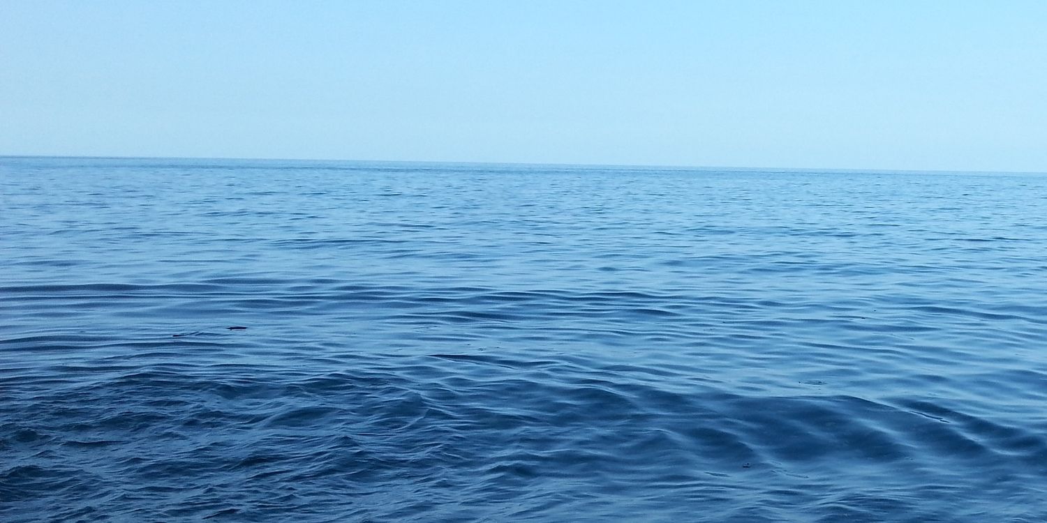 cicek_omer's profile banner image