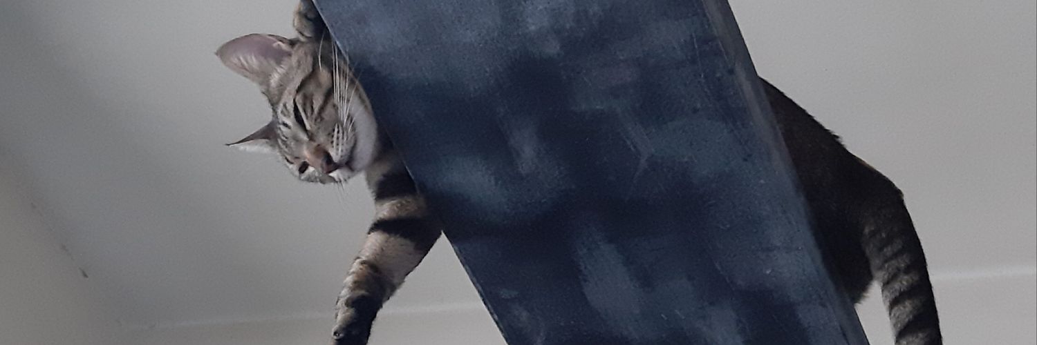 _idrhil's profile banner image