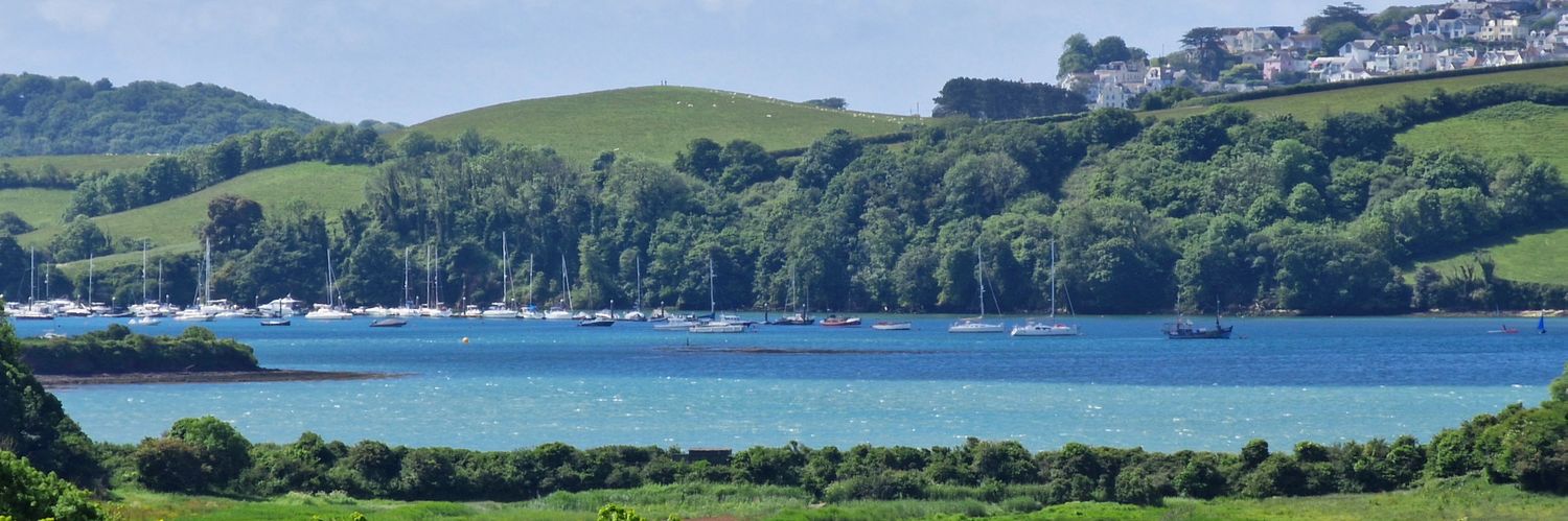 twickerman 🙃 🏖️ 🚵 🌴🛶 banner