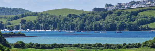 twickerman Profile Banner