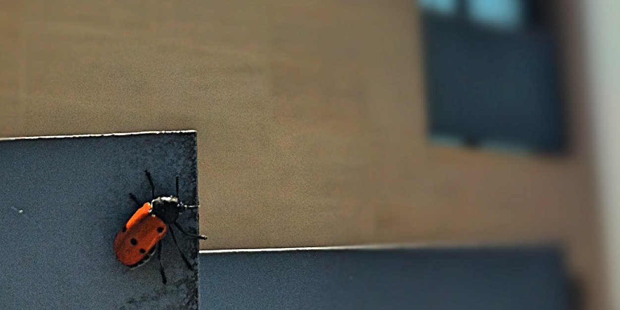 mcrauret's profile banner image
