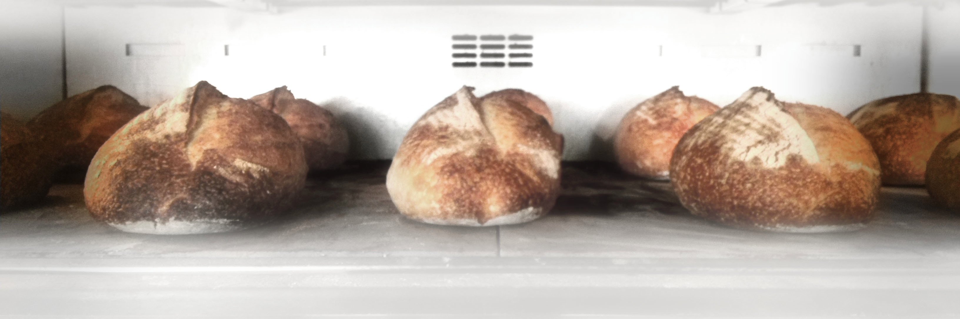 thorough_bakery's profile banner image