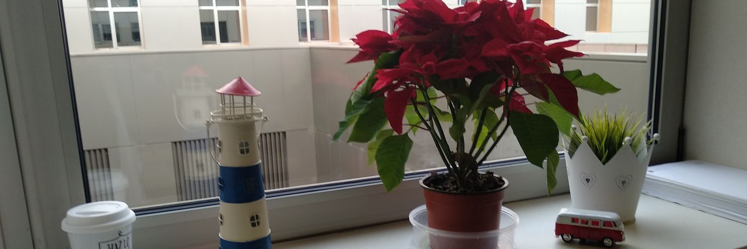 antonio_ber's profile banner image