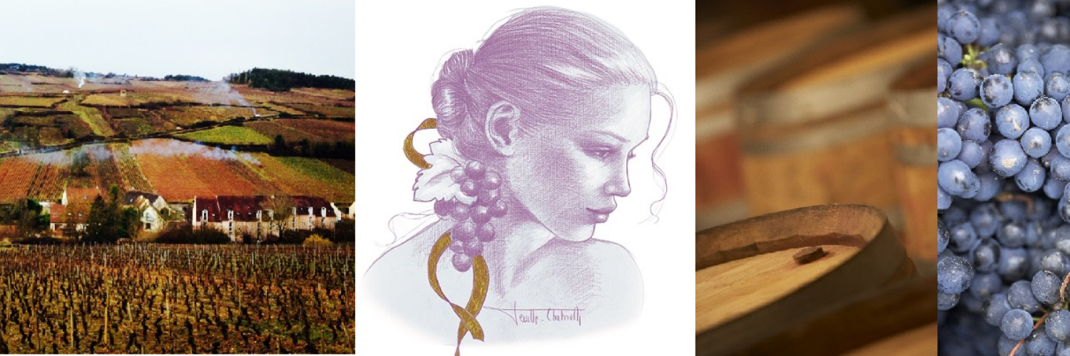 Caroline PARENT GROS banner