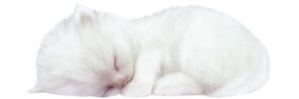 glitterweight's profile banner image