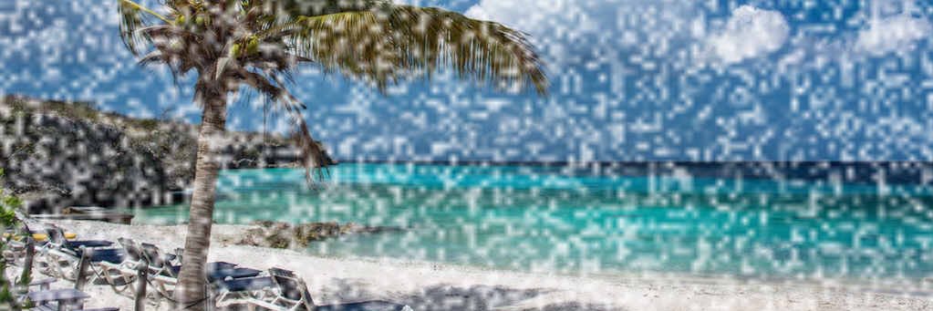 Hunter D Phoenix 🐦‍🔥🏴󠁧󠁢󠁳󠁣󠁴󠁿🇬🇧 banner