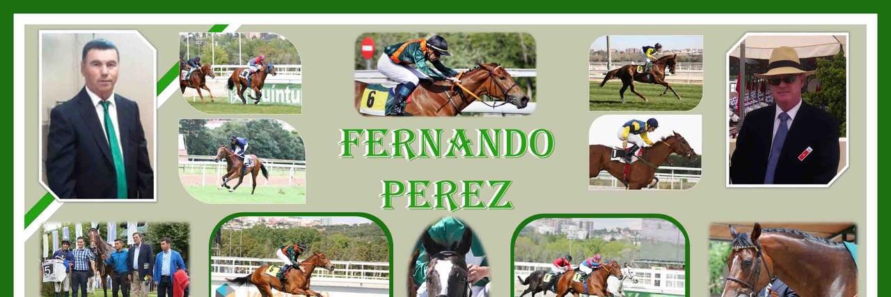 Fernando Perez banner