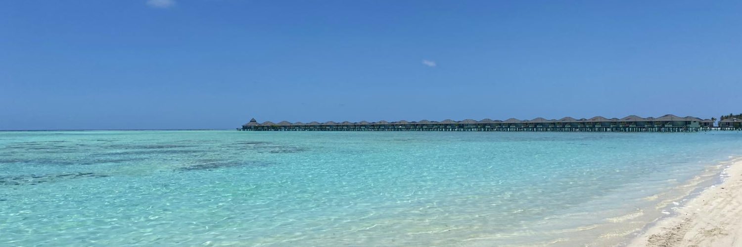 Daniel Bartłomowicz banner