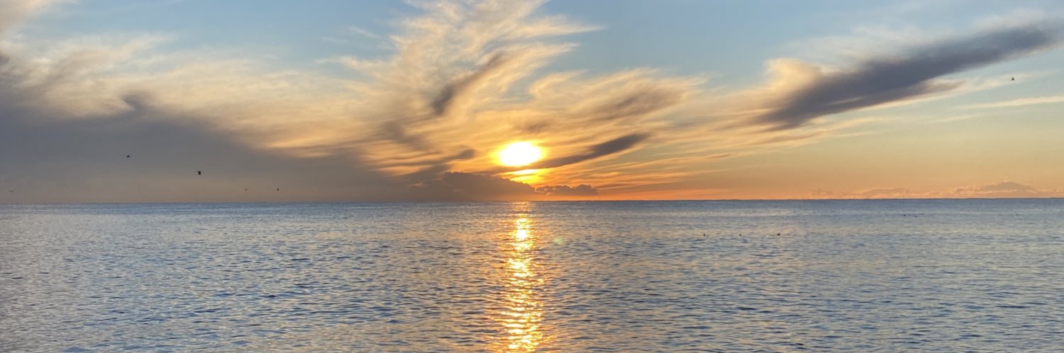 MoradHannou's profile banner image