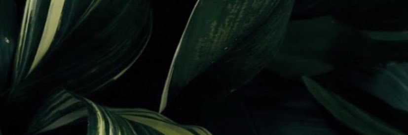 mohoell's profile banner image
