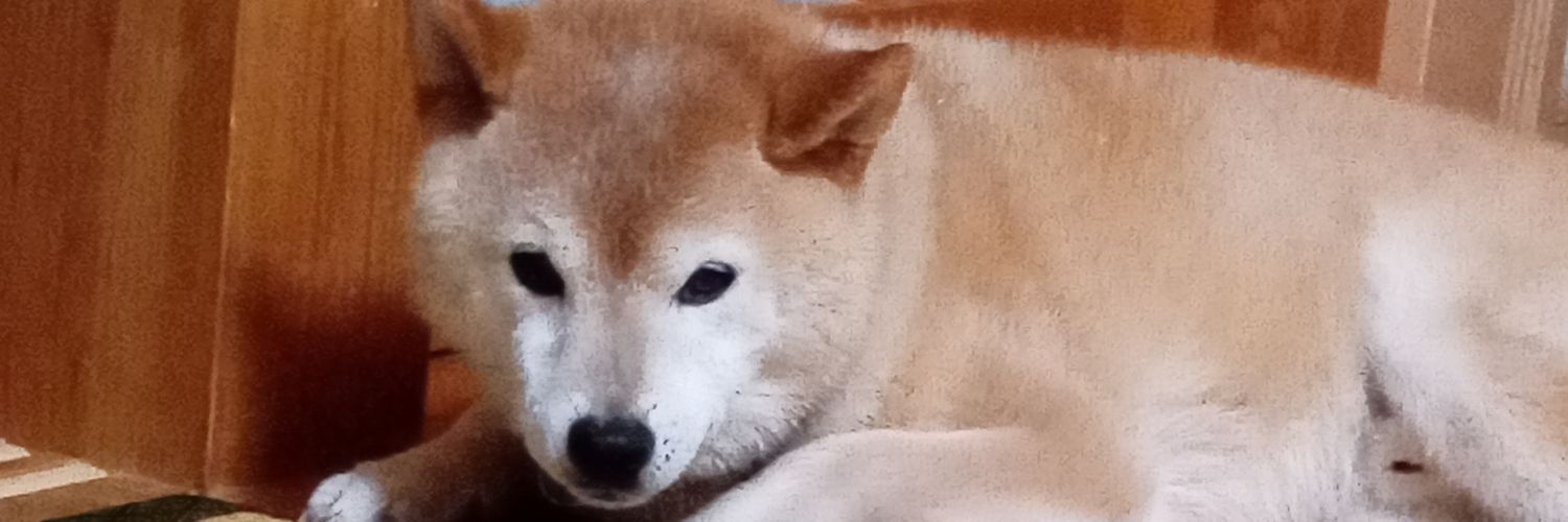 michimo27's profile banner image