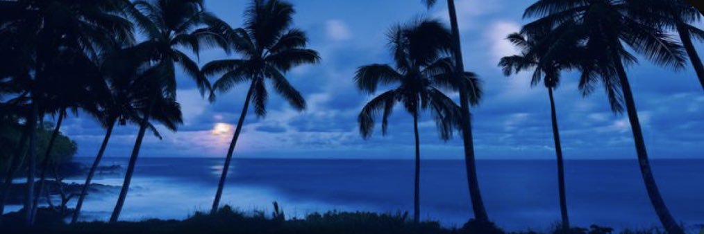 jade_nance's profile banner image