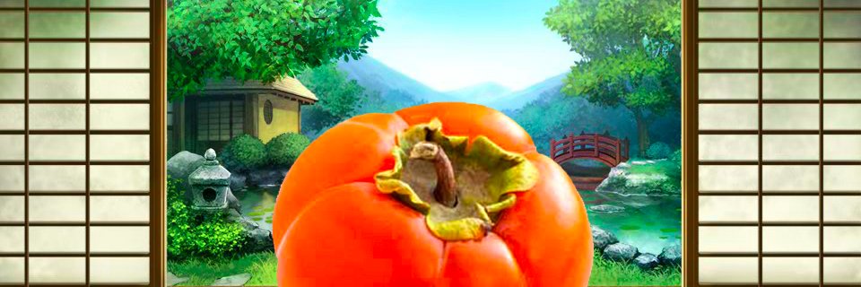 Sayo_TH's profile banner image