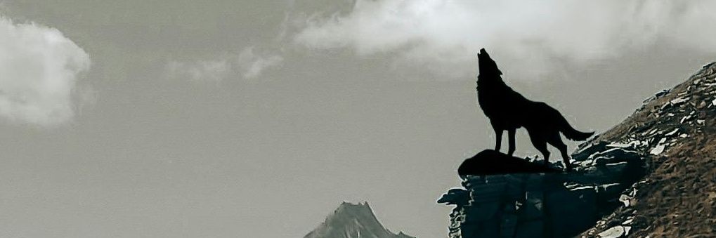_bubenimdunyam's profile banner image