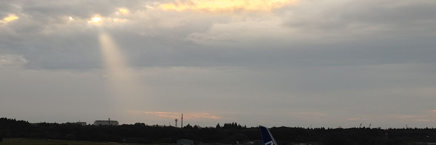 orz_ika's profile banner image