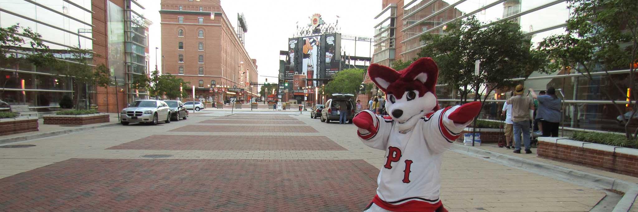 MittensTheHusky's profile banner image