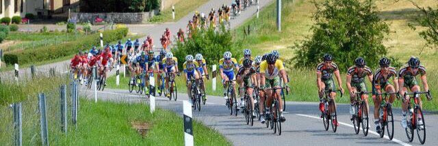 team LDC (ex armée de Terre) banner