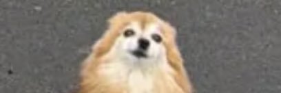 johannerlol's profile banner image