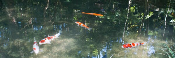 junkato Profile Banner