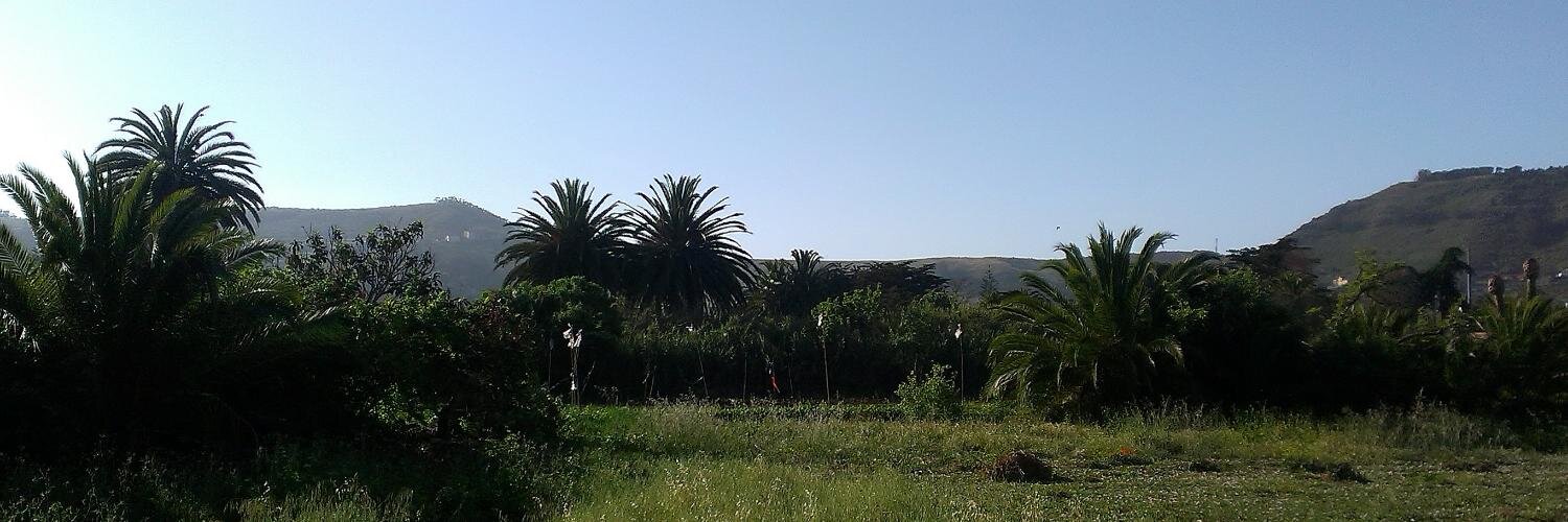 marrero_pedro's profile banner image