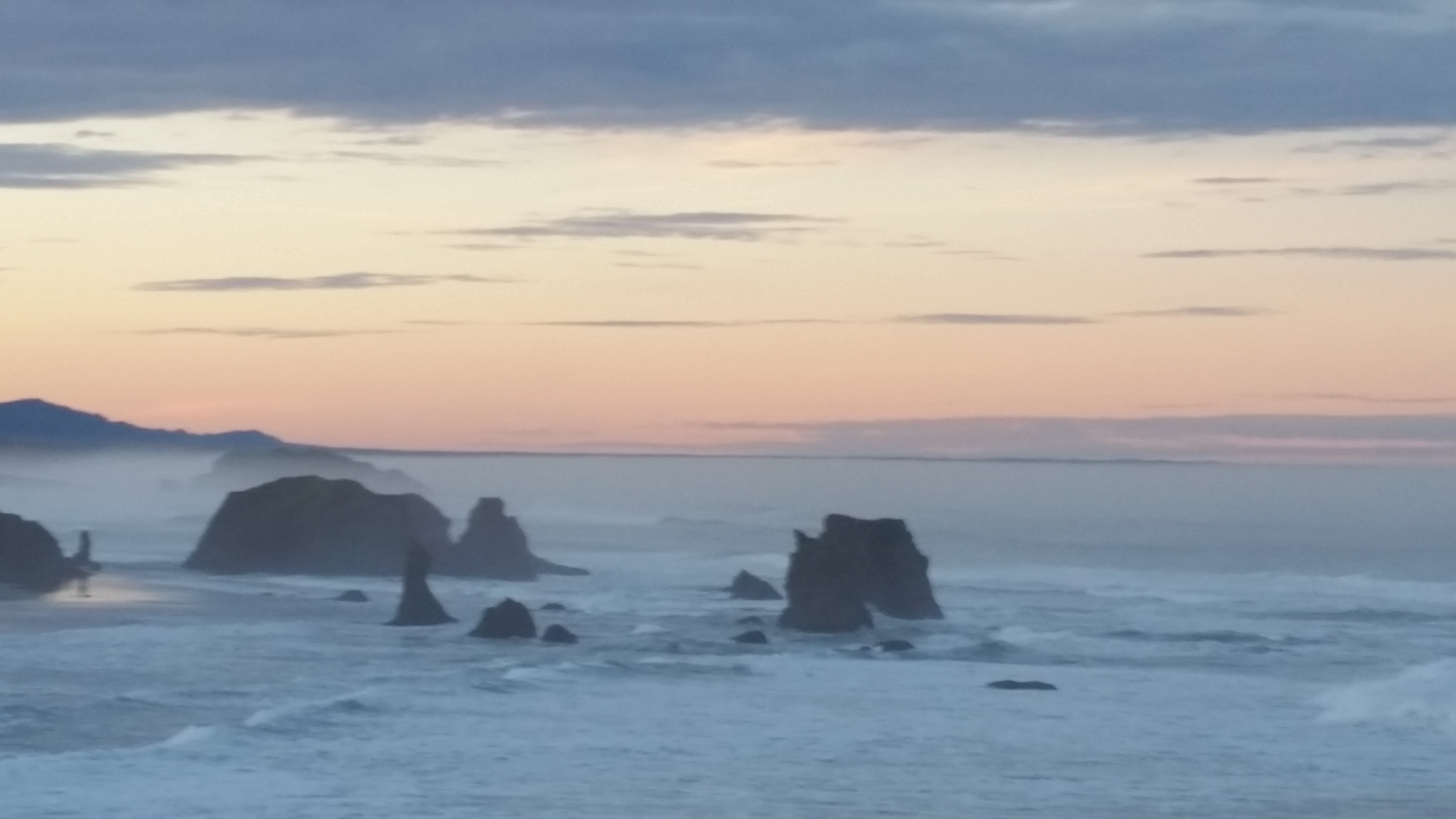 Barefoot Gardener banner