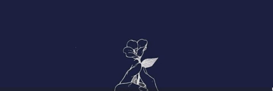 Paty banner