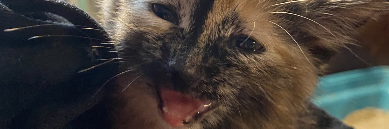 wondurless's profile banner image