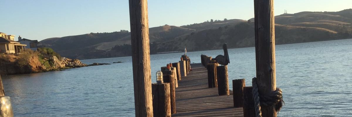 oliesca's profile banner image