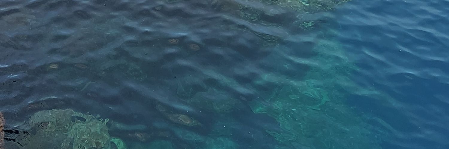 jttgultom's profile banner image