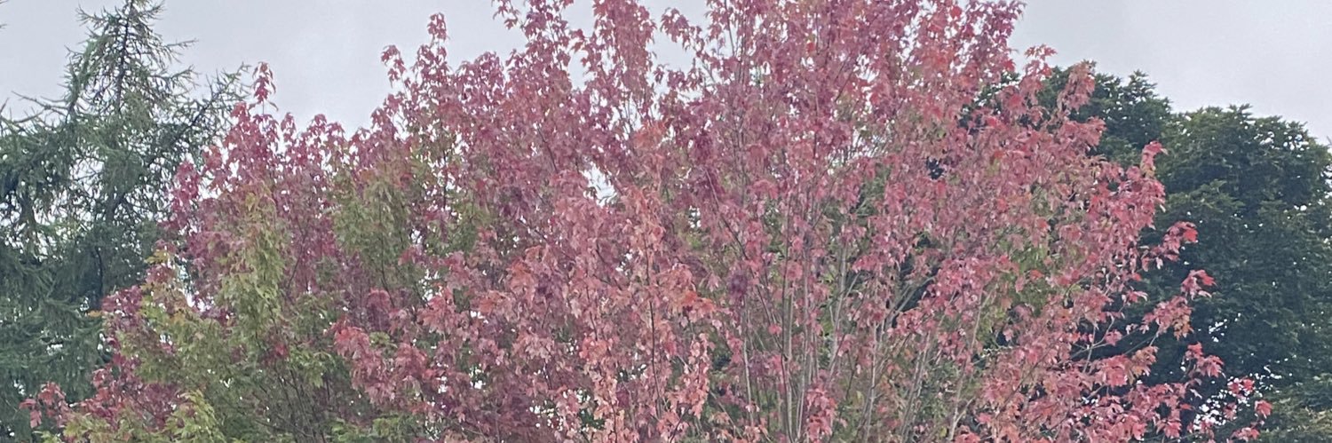 mrsmcw88's profile banner image